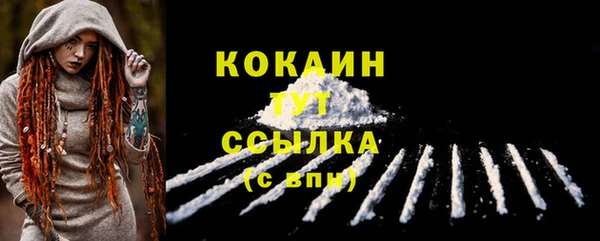 спиды Новозыбков