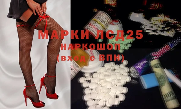 спиды Новозыбков