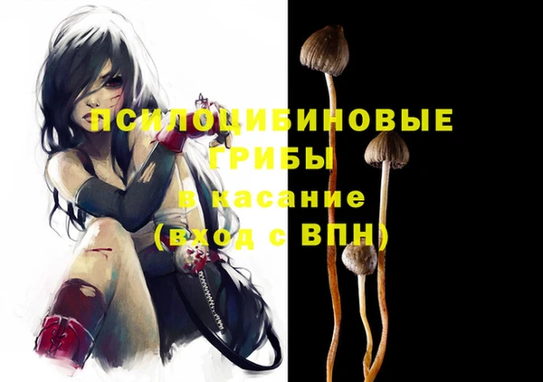 спиды Новозыбков