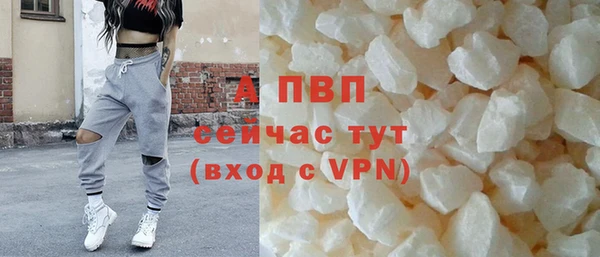 спиды Новозыбков