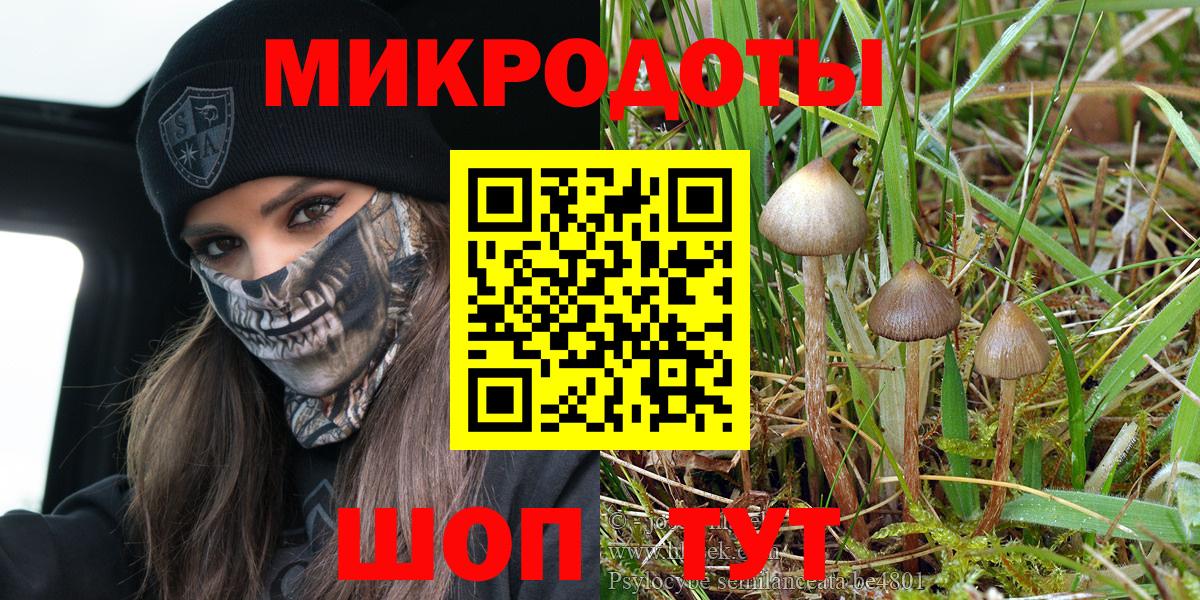 Уварово  Псилоцибиновые грибы MAGIC MUSHROOMS  Вход с VPN 
